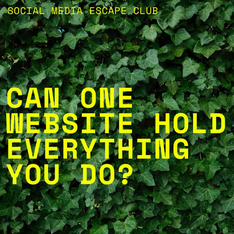 Cover Image for CAN ONE WEBSITE HOLD EVERYTHING YOU DO?