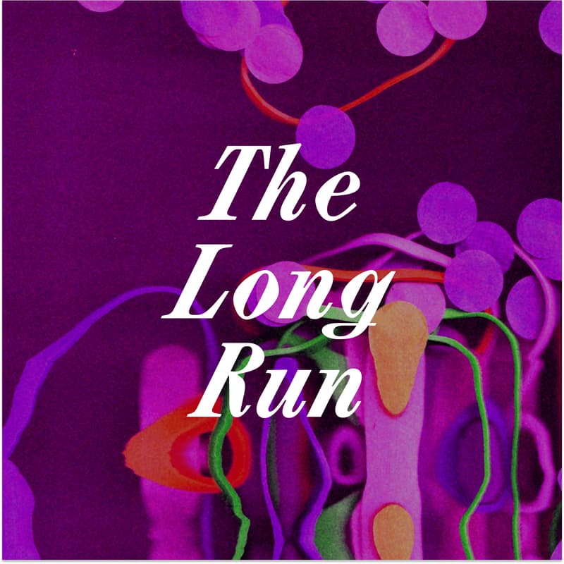 Cover Image for Elastic Orbits: The Long Run