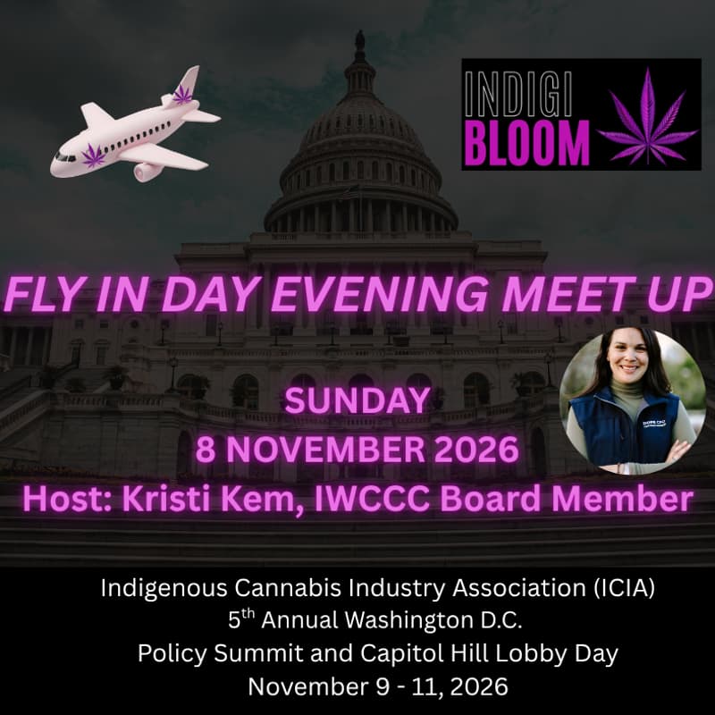 Cover Image for INDIGI BLOOM: Fly In Day Evening Meet Up, Washington D.C.