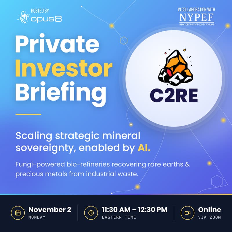 Cover Image for C2RE Private Investor Briefing - Virtual