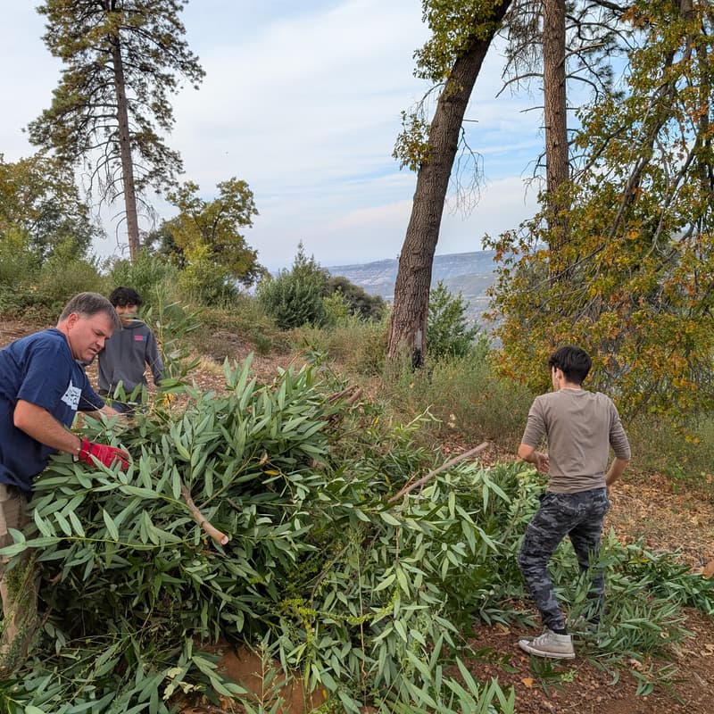Cover Image for FREE Green Waste Disposal Day for WUI Residents!