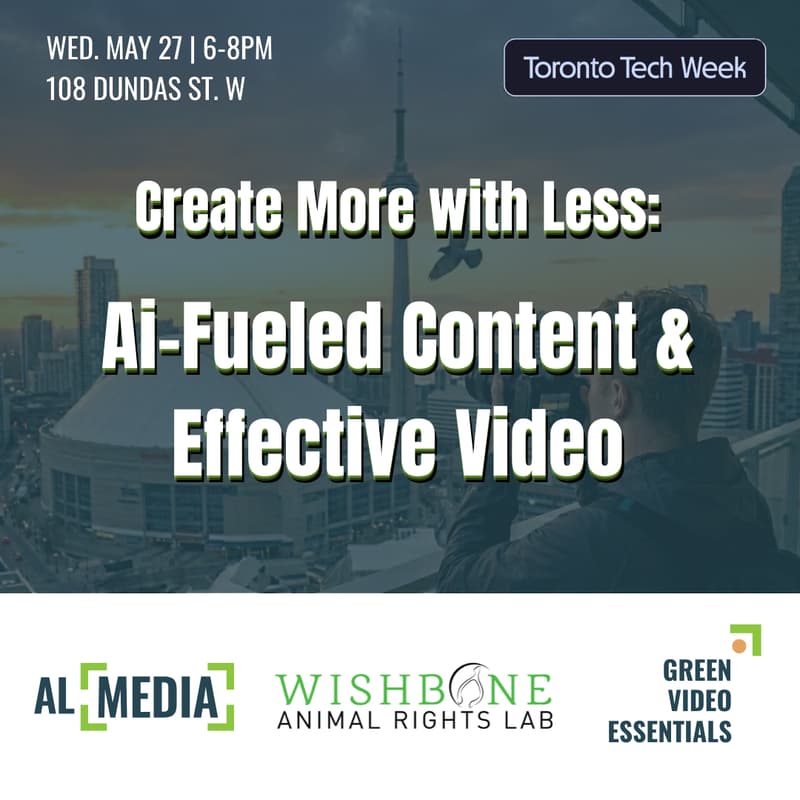 Cover Image for Create More with Less: AI-Fueled Content & Effective Video