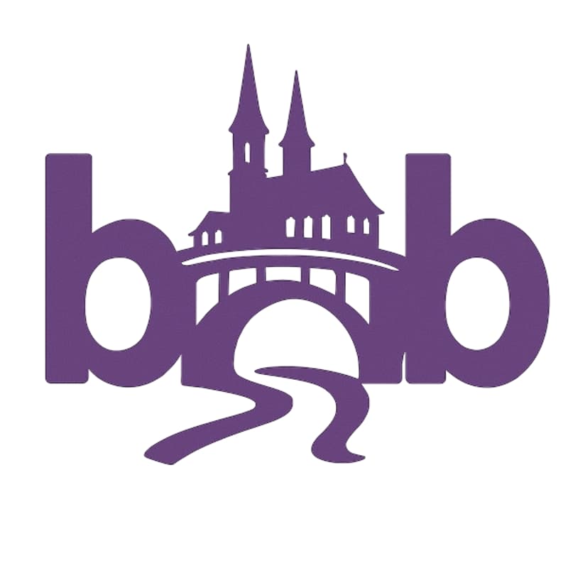 Cover Image for Bridges Over Basel 4 - Career paths beyond academia : VC