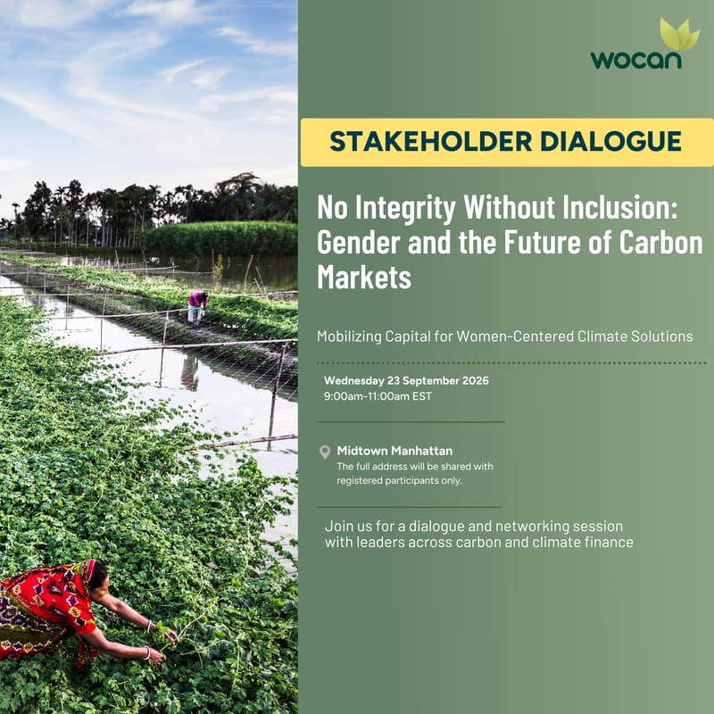 Cover Image for No Integrity Without Inclusion: Gender and the Future of Carbon Markets