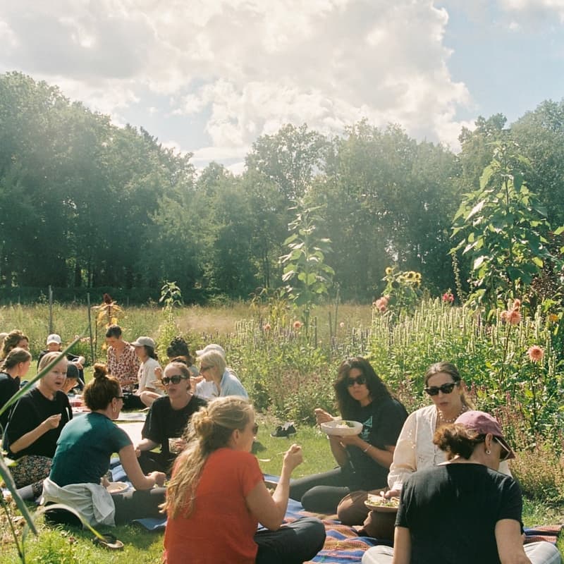 Cover Image for Bloom and Breathe - das kleine MARSANO Sommerretreat