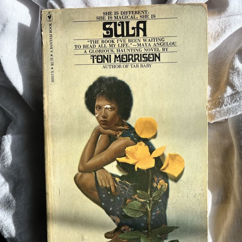 Cover Image for Sula - A Final Discussion
