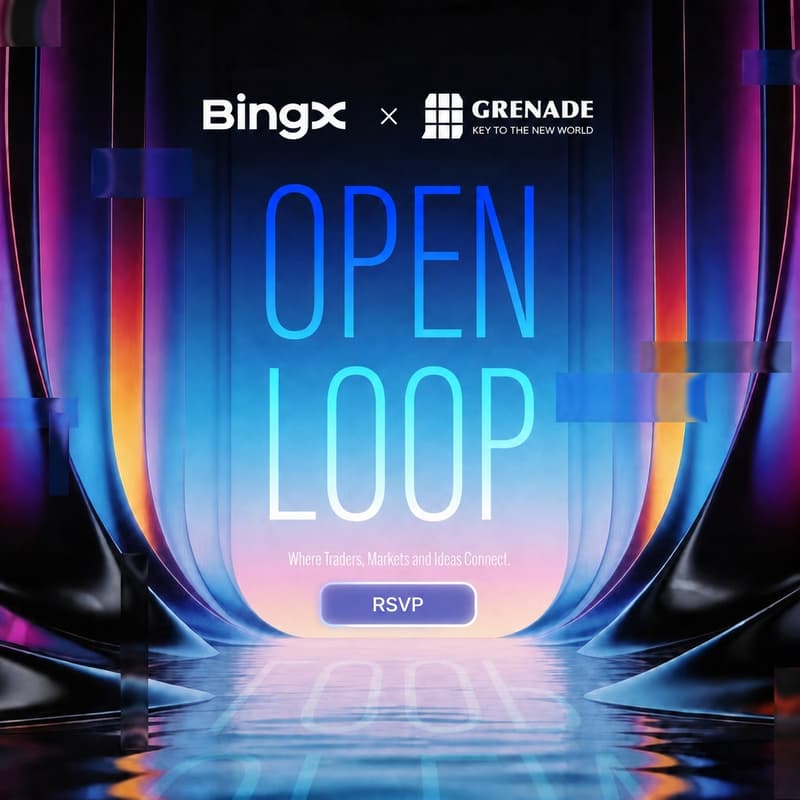 Cover Image for BingX Open Loop
