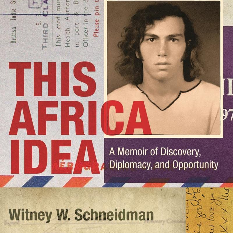 Cover Image for In Celebration of "This Africa Idea" by Witney Schneidman