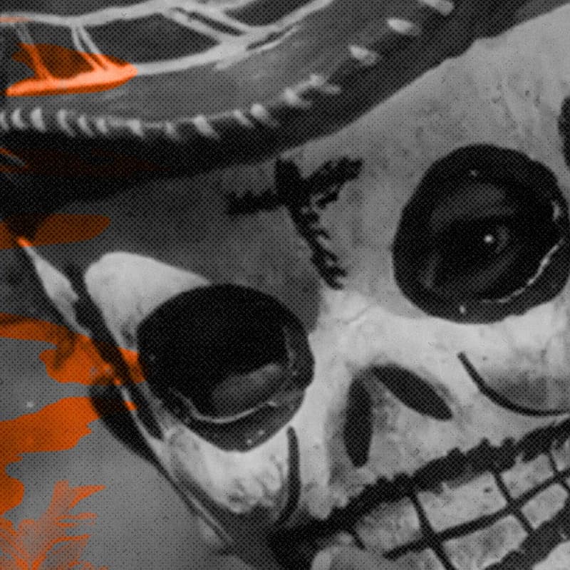Cover Image for Xolo: Guardians, Ghosts, & Guitars!