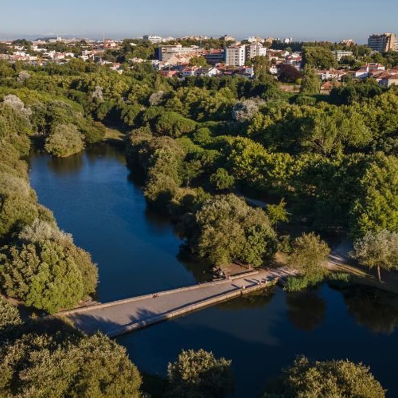 Cover Image for Passeio Porto | Parque da Cidade