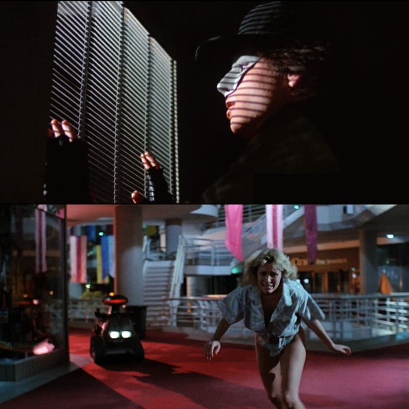 Cover Image for Phantom of the Mall / Chopping Mall Double Feature