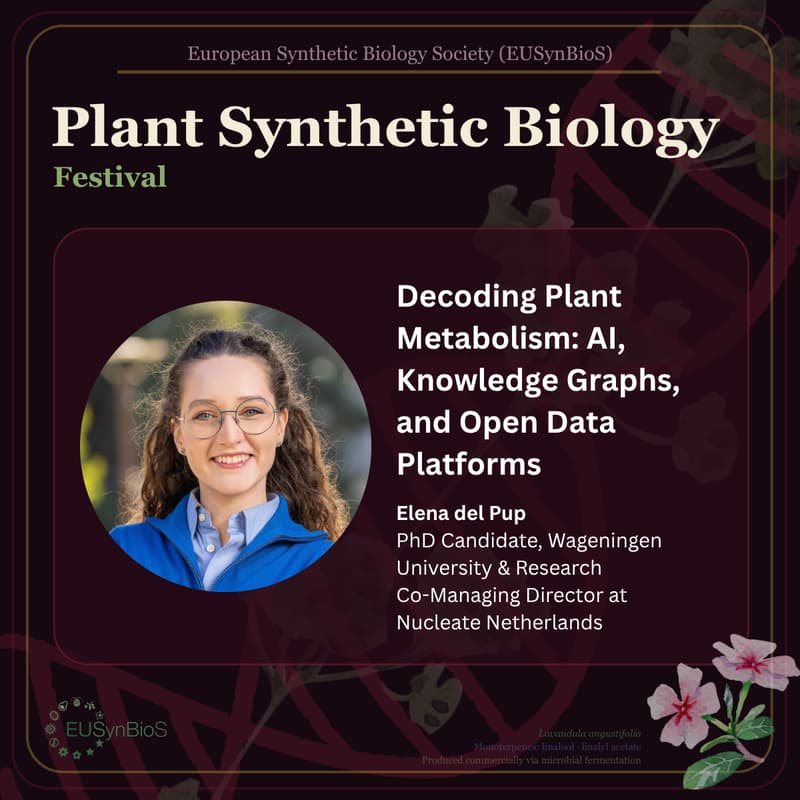 Cover Image for Decoding Plant Metabolism: AI, Knowledge Graphs, and Open Data Platforms (with Elena del Pup)