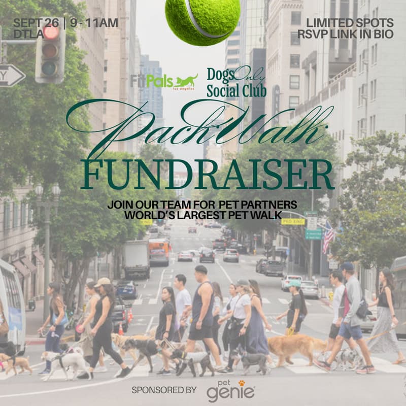 Cover Image for September Pack Walk Fundraiser