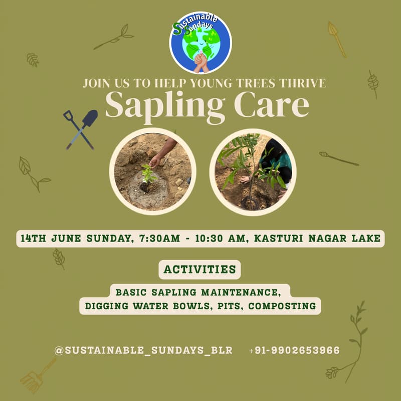 Cover Image for Volunteering with Sustainable Sundays - Sapling Care Activity