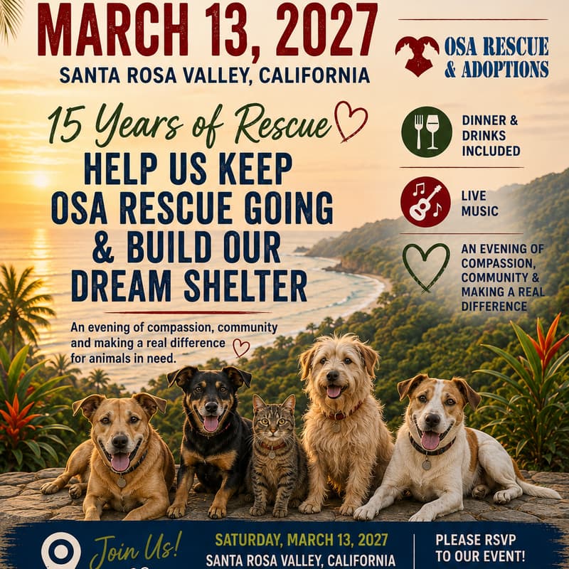Cover Image for A Night to Save Lives — 15 Years of Osa Rescue