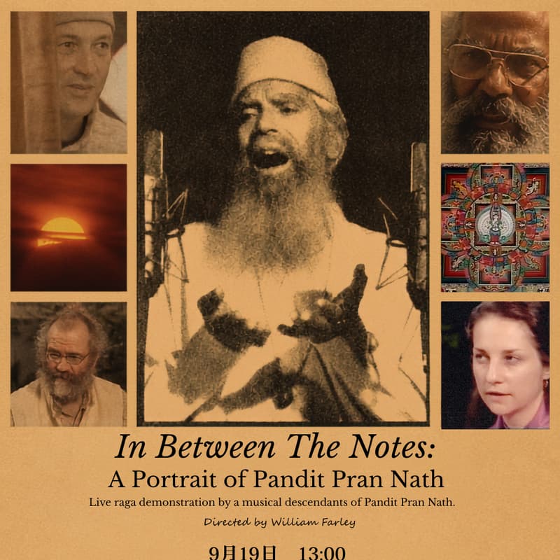 Cover Image for In Between The Notes: A Portrait of Pandit Pran Nath