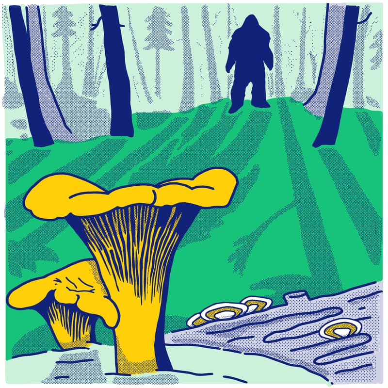 Cover Image for CascadiaJS 2026 - Welcome Reception