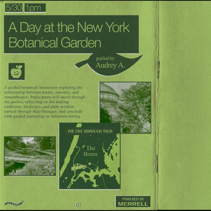 Cover Image for A Day at the New York Botanical Garden