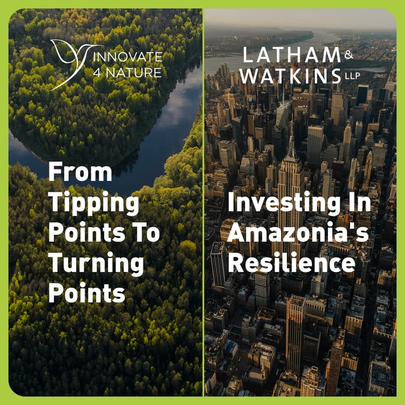 Cover Image for From Tipping Points to Turning Points: Investing in Amazonia's Resilience | NY Climate Week