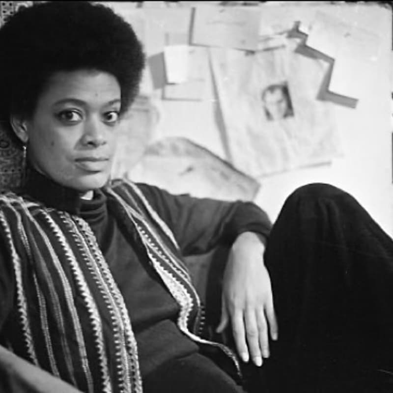 Cover Image for TCB - The Toni Cade Bambara School of Organizing with Black Feminist Book Club & CMB Oakland