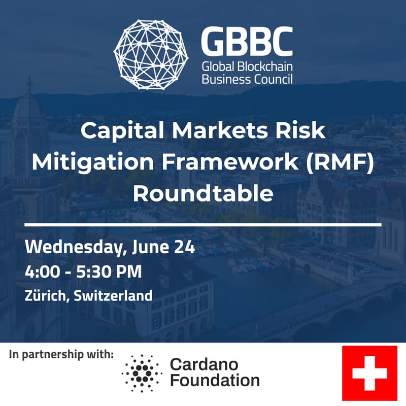 Cover Image for Capital Markets Risk Mitigation Framework (RMF) Roundtable | PZF