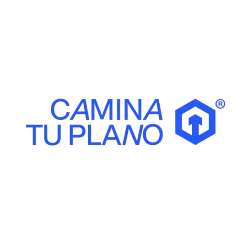 Cover Image for Camina tu plano