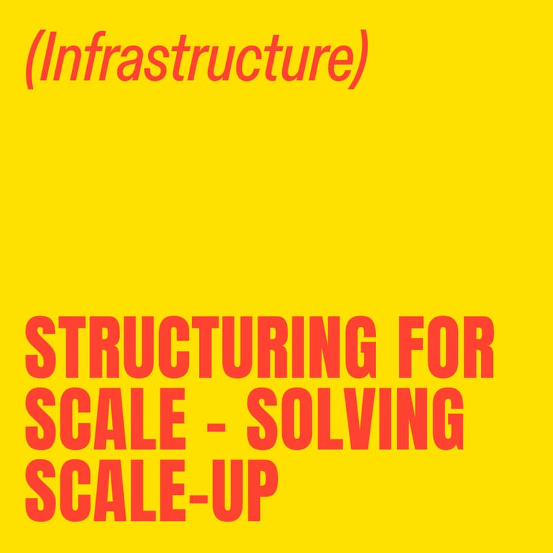 Cover Image for Structuring for Scale - Solving Scale-Up