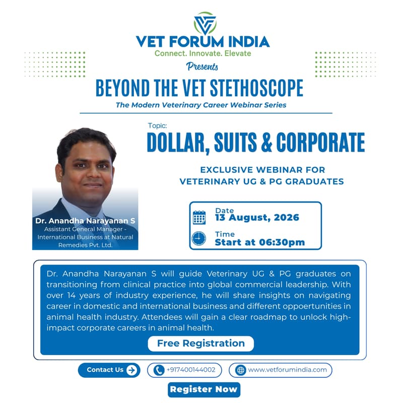 Cover Image for Dollar, Suits & Corporate