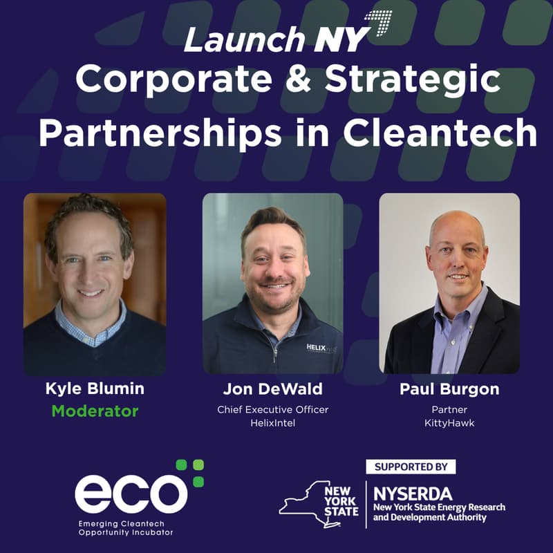 Cover Image for Corporate & Strategic Partnerships in Cleantech