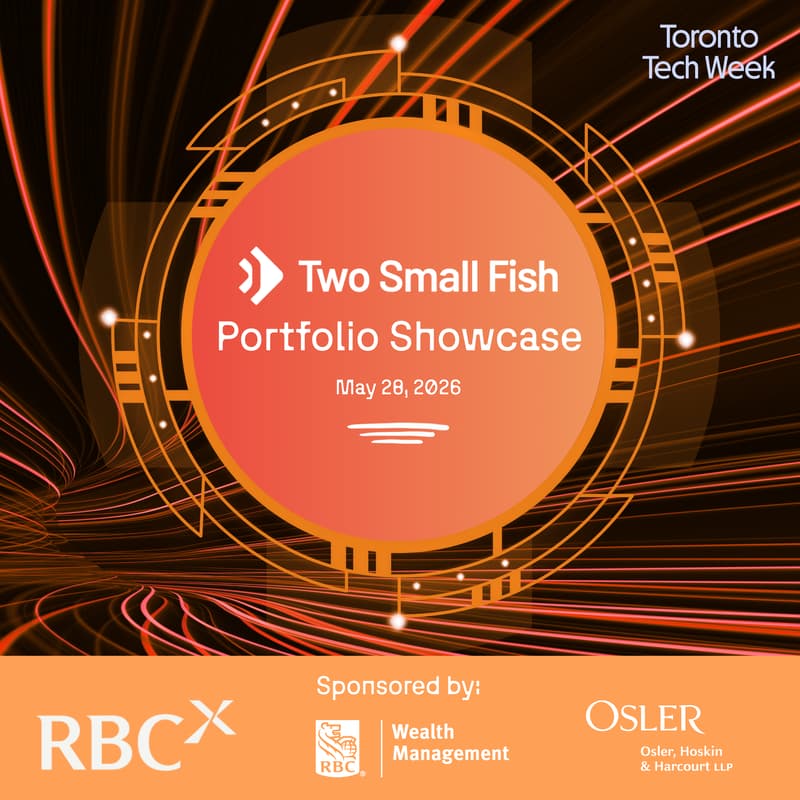 Cover Image for Two Small Fish Portfolio Showcase