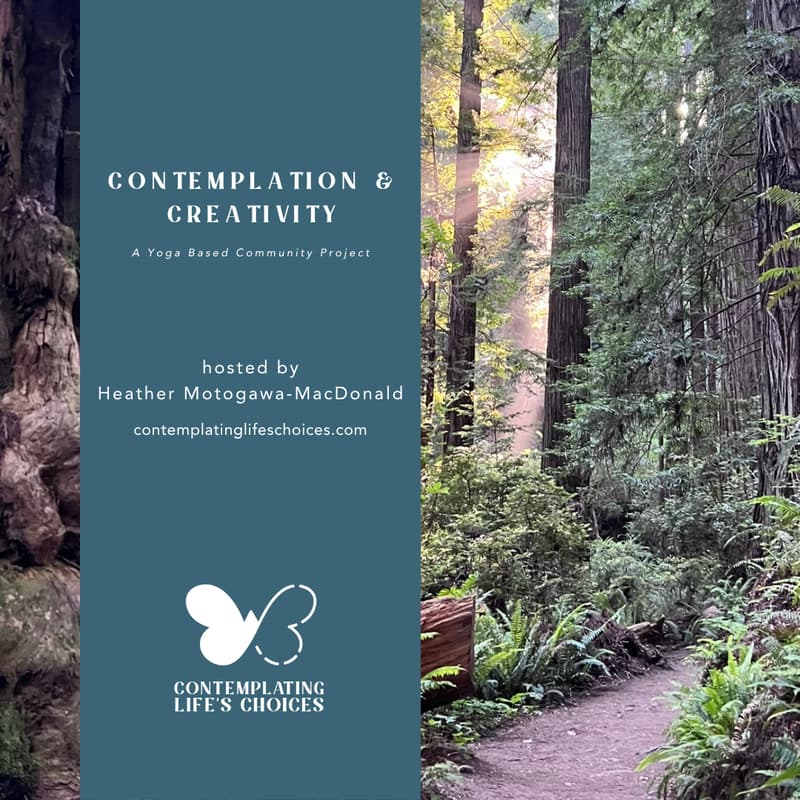 Cover Image for Contemplation & Creativity