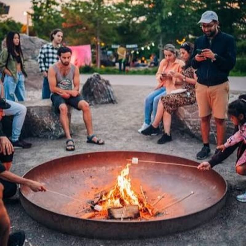 Cover Image for Fireside Chat: Wildfires, Climate Change, and is it Too Late to do Something?