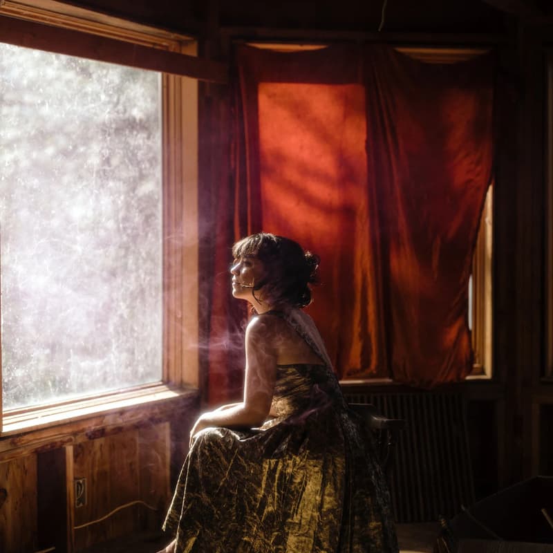 Cover Image for Backyard Concert-- Aviva le Fey!