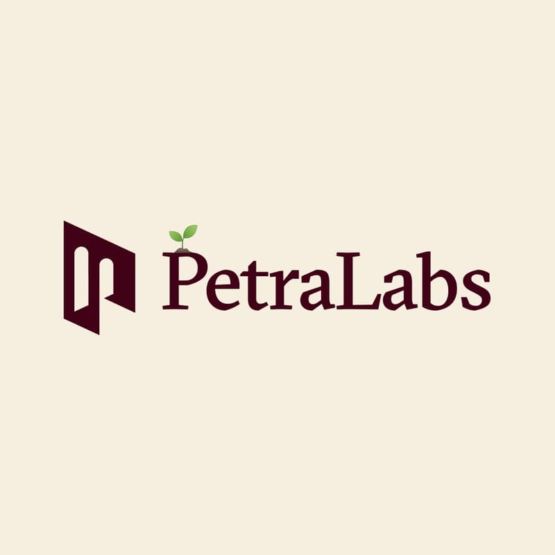Cover Image for Petra Labs Seed Launch