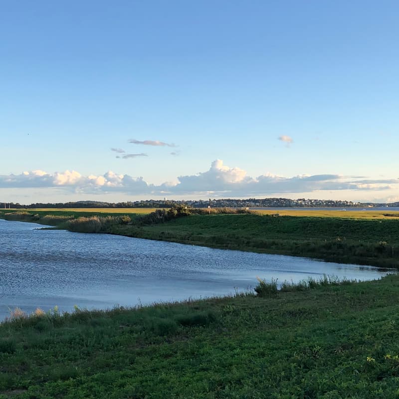 Cover Image for Author Talk: Karin Martin on "Get Plum Island"