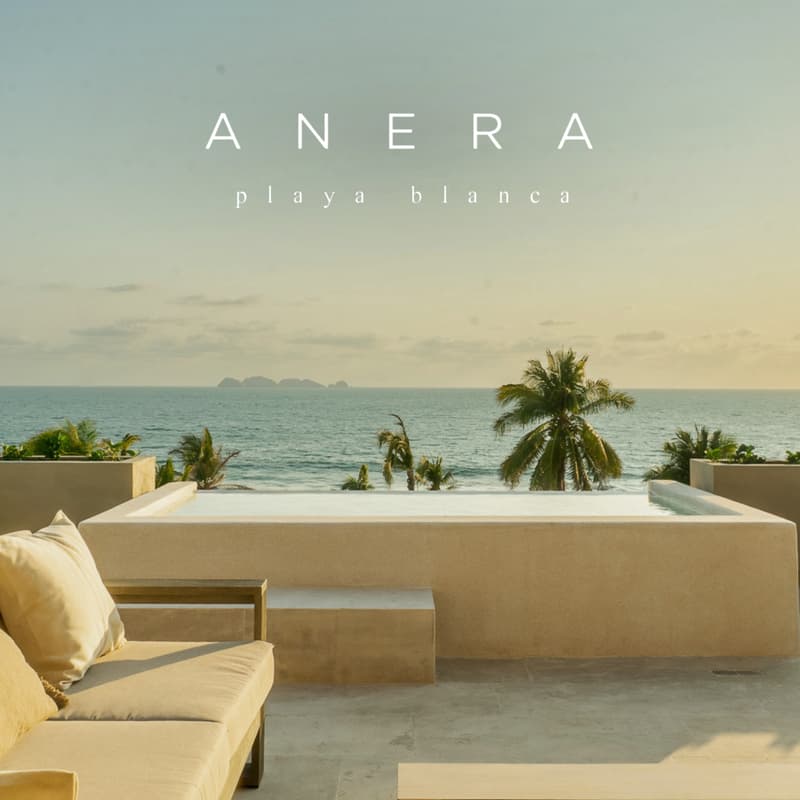 Cover Image for ANERA
