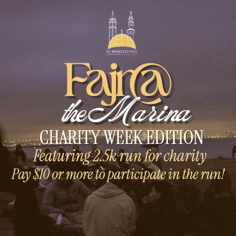 Cover Image for Fajr at the Marina + 2.5k run