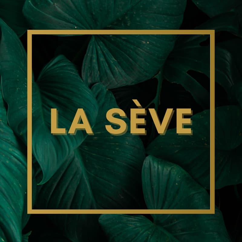 Cover Image for Réapprendre le consentement