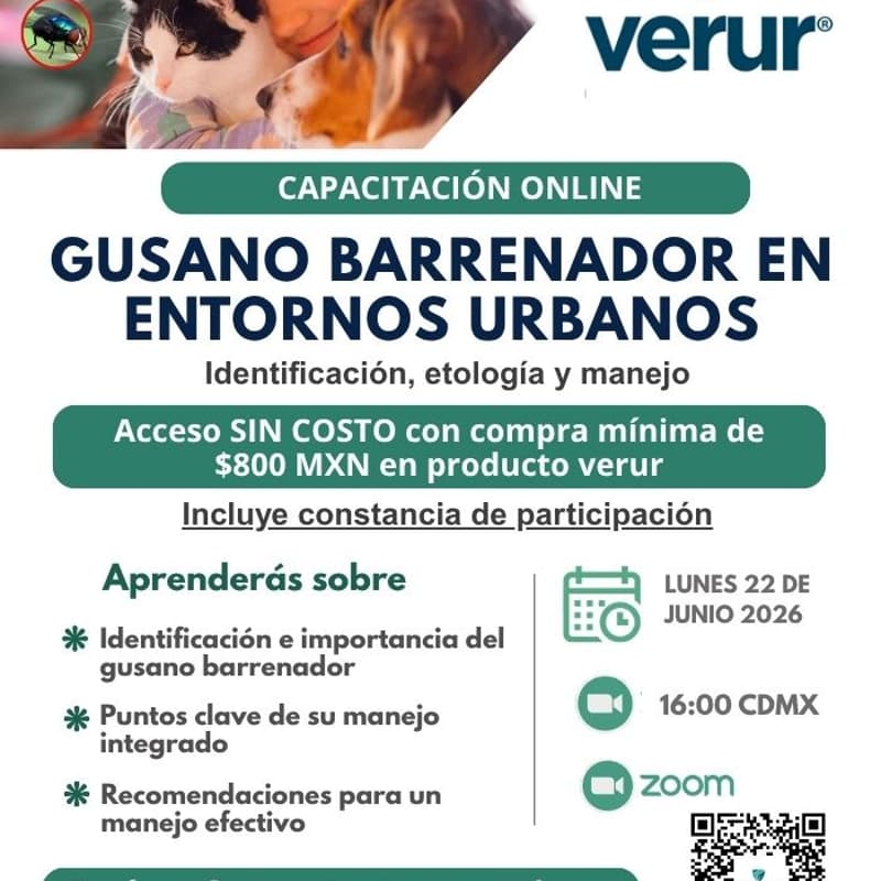 Cover Image for GUSANO BARRENADOR EN ENTORNOS URBANOS