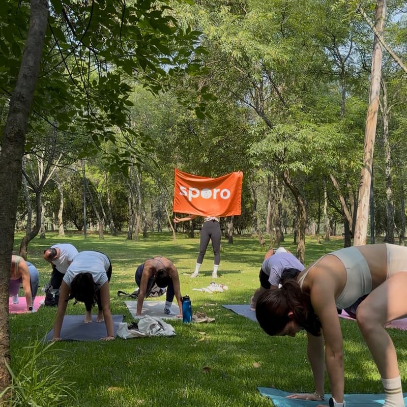 Cover Image for Mat Pilates | Paloma Magro x Sporo