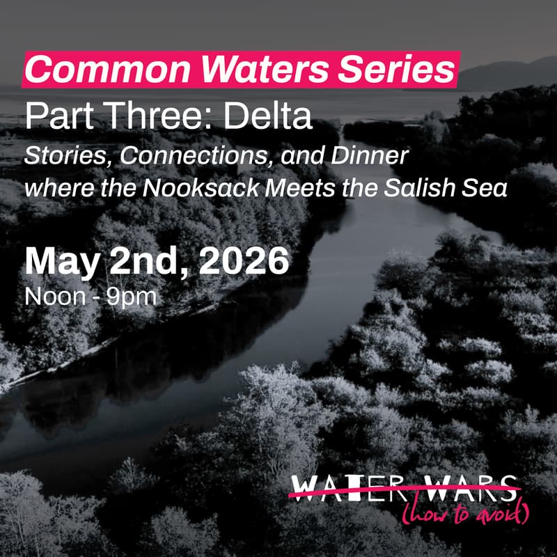 Cover Image for Common Waters: Delta