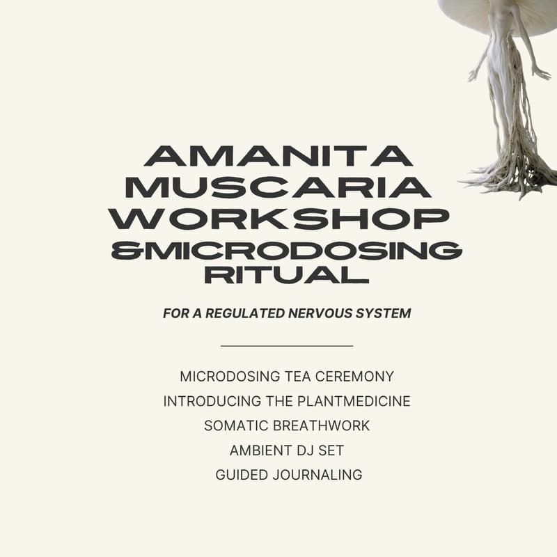 Cover Image for AMANITA MUSCARIA MICRODOSING WORKSHOP & RITUAL