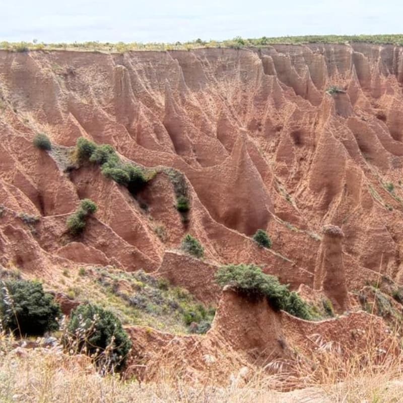 Cover Image for (free women only hike): Las Carcavas (moderate)