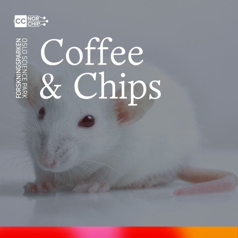 Cover Image for Coffee & Chips: BrainChip
