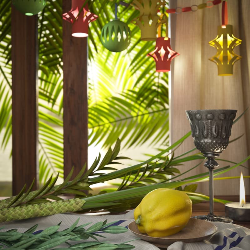 Cover Image for Sukkah on Campus