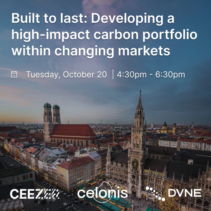 Cover Image for Built to last: Developing a high-impact carbon portfolio within changing markets