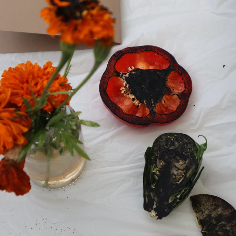 Cover Image for Tiny Art Club: fruit & vegetable printmaking