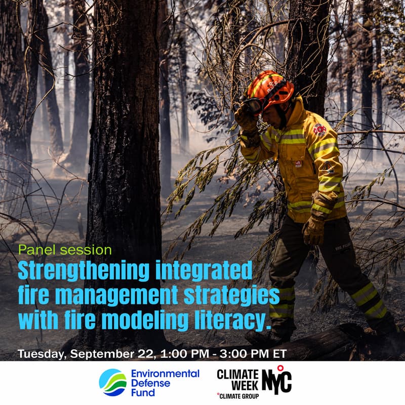 Cover Image for Strengthening integrated fire management strategies with fire modeling literacy (Technical roundtable)