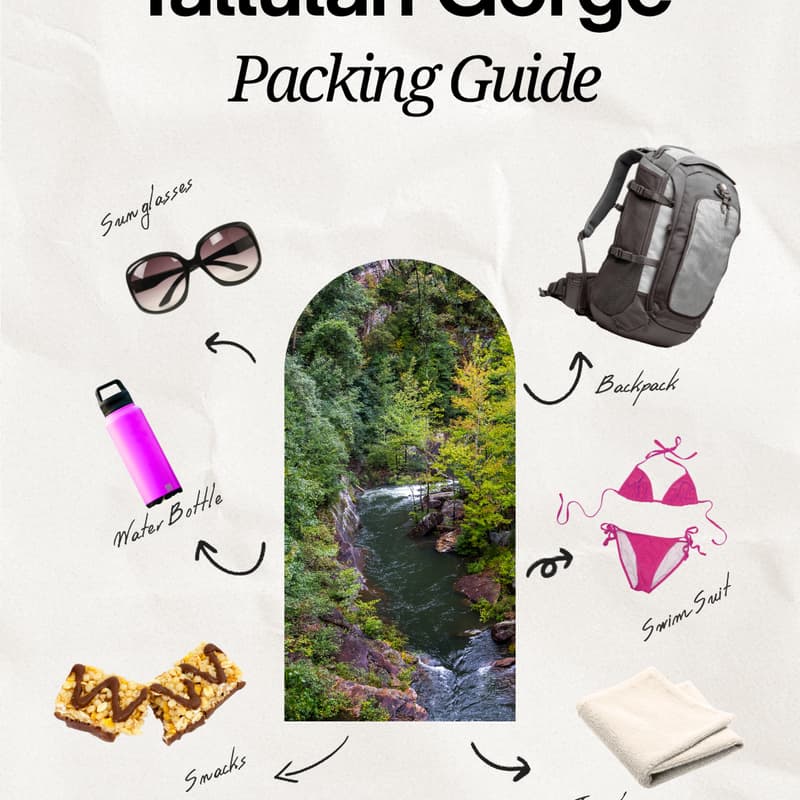 Cover Image for Tallulah Gorge Day Trip