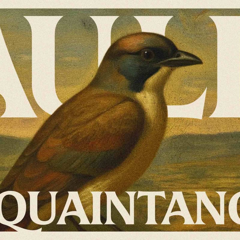 Cover Image for Auld Acquaintances